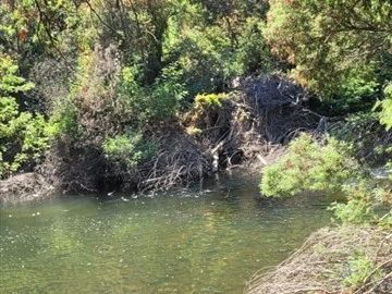 Sitio en Venta en Ruta M-914, El Risco