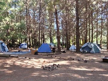 Sitio en Venta en Ruta M-914, El Risco