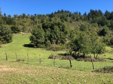 Sitio en Venta en Ruta M-914, El Risco