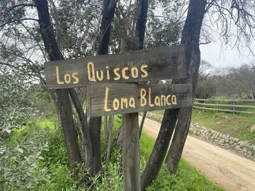 Sitio en Venta en Paine, Condominio Ecológico Águila Sur