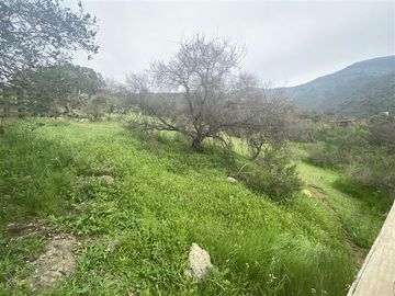 Sitio en Venta en Paine, Condominio Ecológico Águila Sur