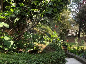 Casa en venta en Jardines del Pedregal de San Angel