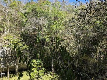Venta, Terreno con Cenote, Valladolid, Yucatán