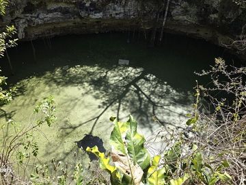 Venta, Terreno con Cenote, Valladolid, Yucatán