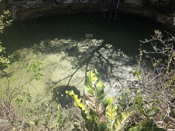 Venta, Terreno con Cenote, Valladolid, Yucatán