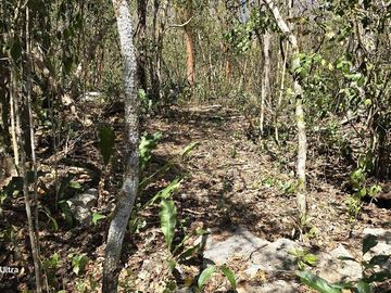 Venta, Terreno con Cenote, Valladolid, Yucatán