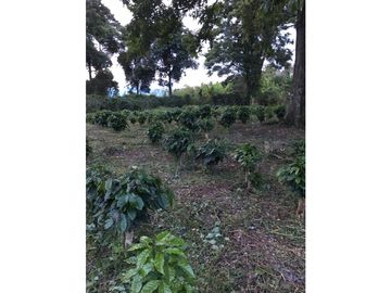 SE VENDE LOTE EN ARAVIA A 5 MINUTOS DE VIA PRINCIPAL