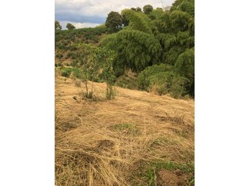 SE VENDE LOTE EN ARAVIA A 5 MINUTOS DE VIA PRINCIPAL