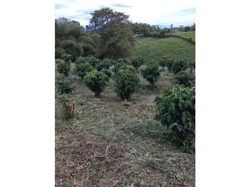 SE VENDE LOTE EN ARAVIA A 5 MINUTOS DE VIA PRINCIPAL