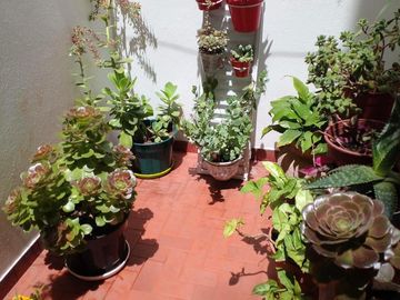 Departamento en  Venta de 2 amb con Patio Apto Crédito