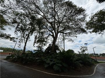 Venta Casa Campestre en la vía Armenia a Tebaida Quindio COD: 8620282