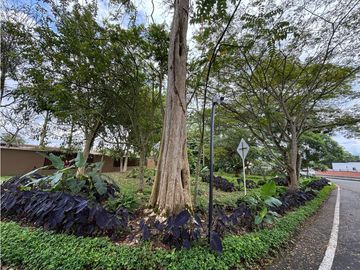Venta Casa Campestre en la vía Armenia a Tebaida Quindio COD: 8620282