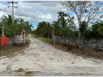 Venta Rancho Ganadero Panabá Yucatan.