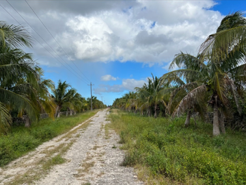 Venta Rancho Ganadero Panabá Yucatan.