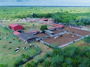 Venta Rancho Ganadero Panabá Yucatan.