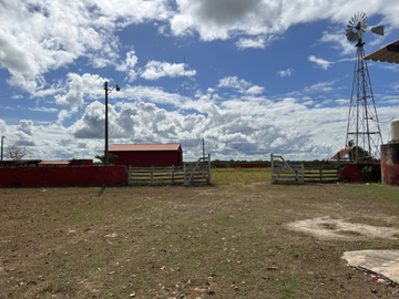 Venta Rancho Ganadero Panabá Yucatan.