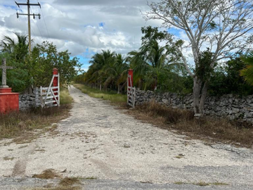 Venta Rancho Ganadero Panabá Yucatan.