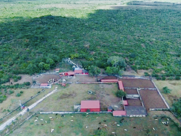 Venta Rancho Ganadero Panabá Yucatan.