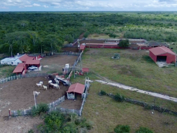 Venta Rancho Ganadero Panabá Yucatan.