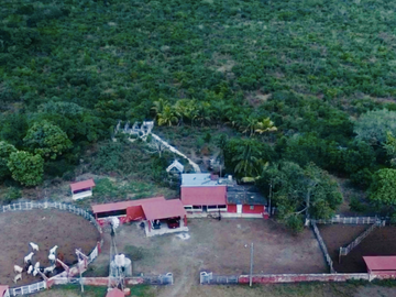Venta Rancho Ganadero Panabá Yucatan.