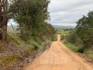 Agrícola en Venta en Ruta Los Conquistadores Sauzal Cauquenes