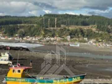 Agrícola en Venta en Ruta Los Conquistadores Sauzal Cauquenes
