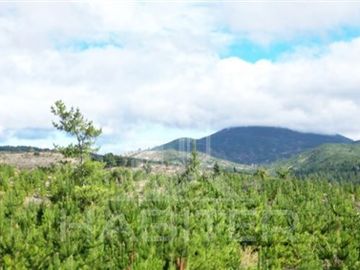 Agrícola en Venta en Ruta Los Conquistadores Sauzal Cauquenes