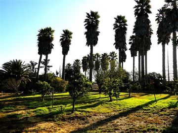 Casa en Venta en Parcela Ex Fundo Miraflores - San Pedro - Quillota
