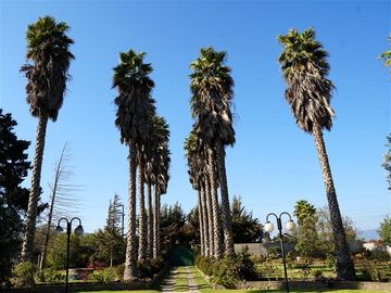 Casa en Venta en Parcela Ex Fundo Miraflores - San Pedro - Quillota