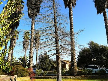 Casa en Venta en Parcela Ex Fundo Miraflores - San Pedro - Quillota