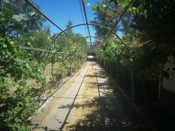 LAUTARO/AVDA SANTA ROSA