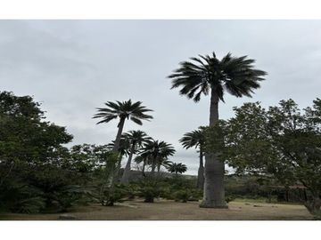 VENTA PARCELA HIJUELAS - OASIS DE LA CAMPANA