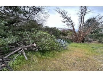 VENTA PARCELA HIJUELAS - OASIS DE LA CAMPANA