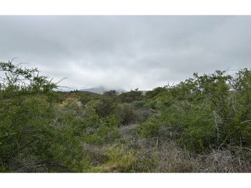 VENTA PARCELA HIJUELAS - OASIS DE LA CAMPANA