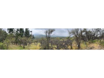 VENTA PARCELA HIJUELAS - OASIS DE LA CAMPANA