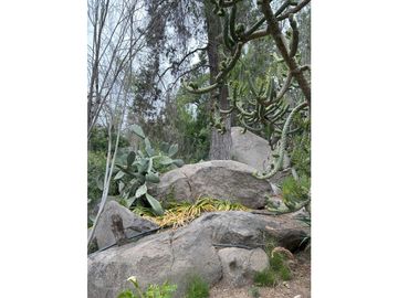 VENTA PARCELA HIJUELAS - OASIS DE LA CAMPANA