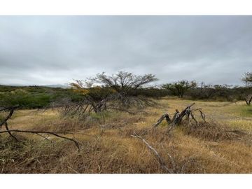 VENTA PARCELA HIJUELAS - OASIS DE LA CAMPANA