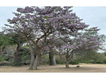 VENTA PARCELA HIJUELAS - OASIS DE LA CAMPANA