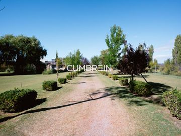 Finca con 10 cabañas en Cuadro Benegas - calle El Moro