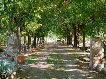 Finca con 10 cabañas en Cuadro Benegas - calle El Moro