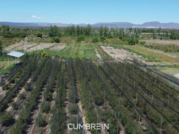 Finca con 10 cabañas en Cuadro Benegas - calle El Moro