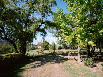 Finca con 10 cabañas en Cuadro Benegas - calle El Moro