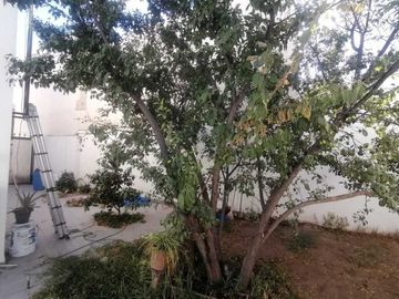 Sta Clara provincia Barcelona casa 2 plantas con excedente de terreno