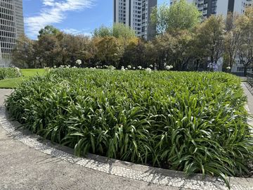 Venta Departamento Lo Alto Bosque Real Torre 5, Bosque Real, Huixquilucan EDOMEX