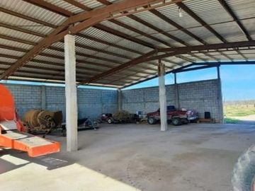 Huerta Nogalera en Venta, Rancho  El Ausente, Parras de la Fuente Coahuila