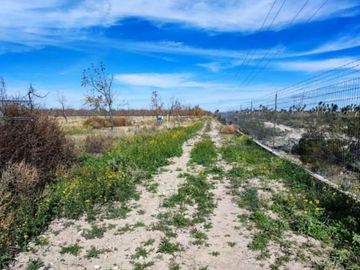 Huerta Nogalera en Venta, Rancho  El Ausente, Parras de la Fuente Coahuila