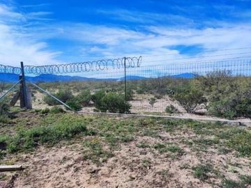 Huerta Nogalera en Venta, Rancho  El Ausente, Parras de la Fuente Coahuila