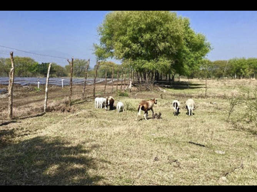 TERRENO EN VENTA EN MONTEMORELOS