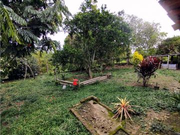 Se Vende Finca Pueblo Tapao Montenegro