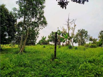 Se Vende Finca Pueblo Tapao Montenegro